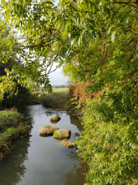 River and scenery at Newbold Common
