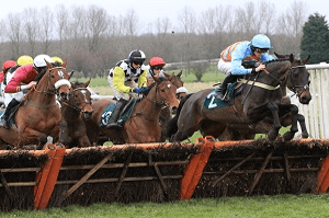 Horses ready to jump a fence at Warwick racecourse